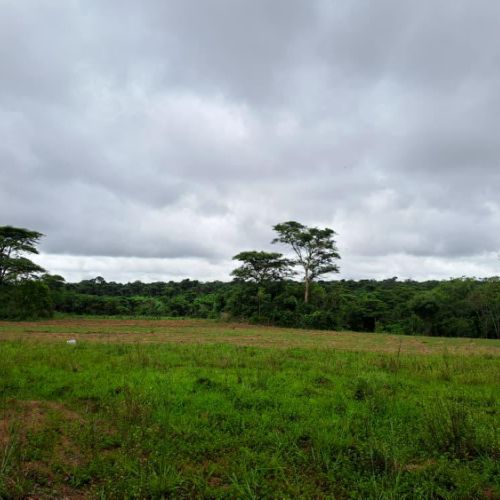 Agence territoriale pour le Développement - Forêt de Miombo