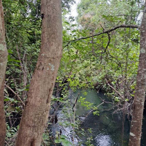 Agence territoriale pour le Développement - Forêt de Miombo